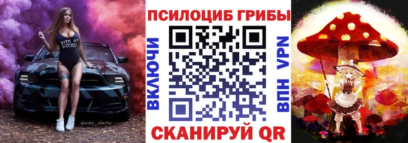 нарко площадка Telegram  omg tor  Цимлянск  цена   Галлюциногенные грибы ЛСД 