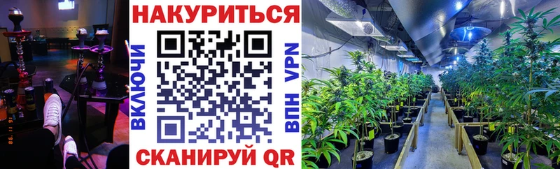 Бошки марихуана индика  Цимлянск 